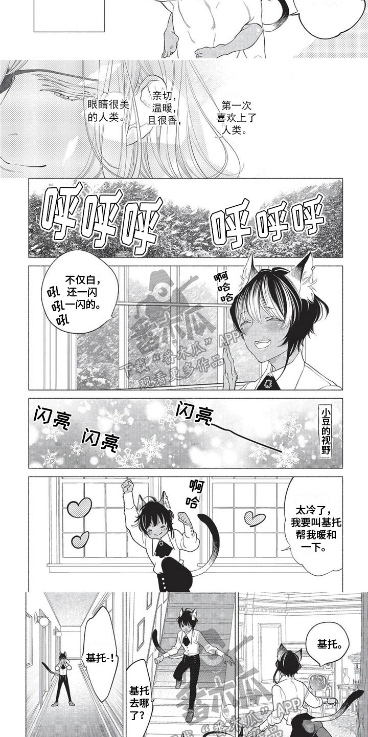 猫猫小宝漫画,第24章：怀疑2图