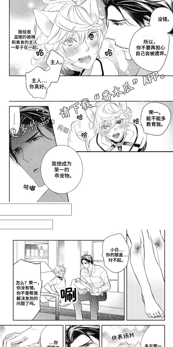 猫猫小白漫画,第5章：教育1图