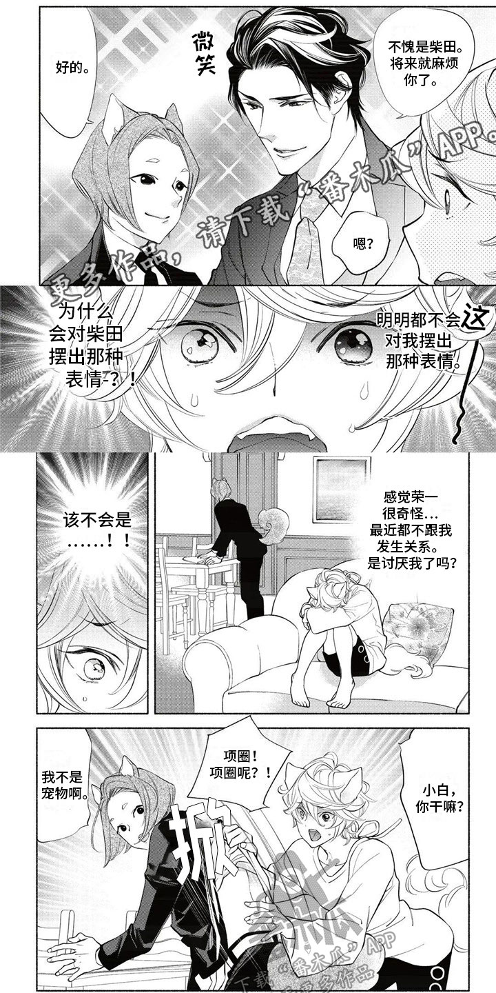 猫猫小白的视频漫画,第15章：回答1图