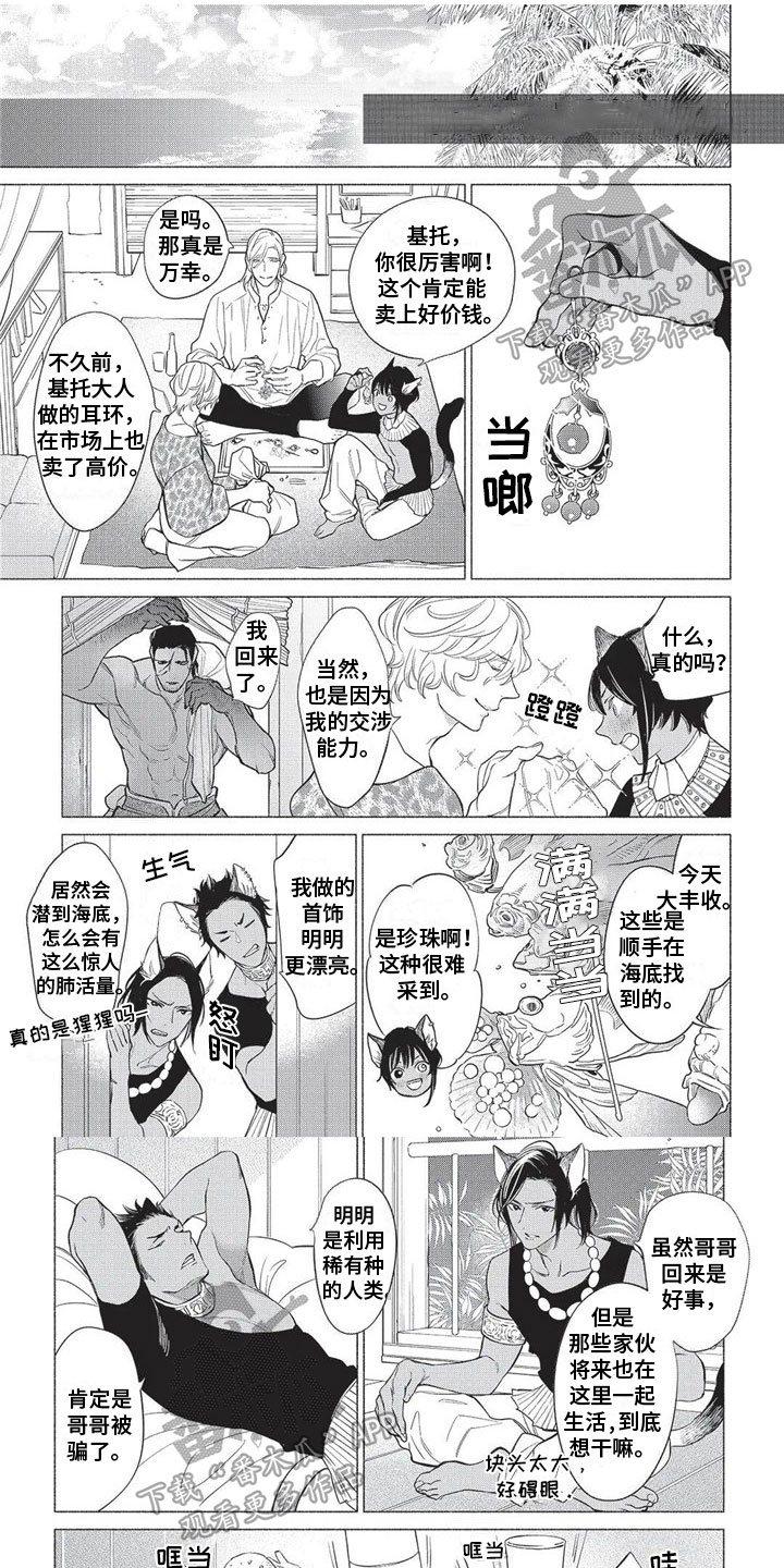 猫猫小白漫画,第32章：【番外】主意1图