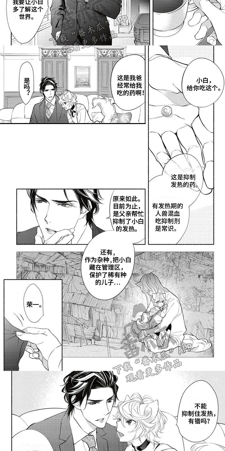 猫猫小白漫画免费全集最新章节漫画,第5章：教育1图