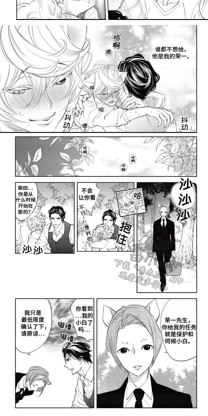 猫猫小镇漫画,第16章：幸福2图