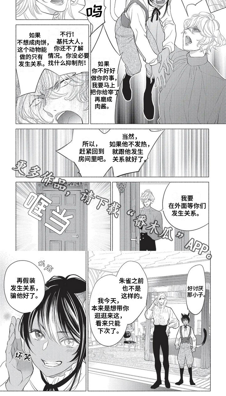 猫猫小猫咪视频漫画,第20章：原因2图