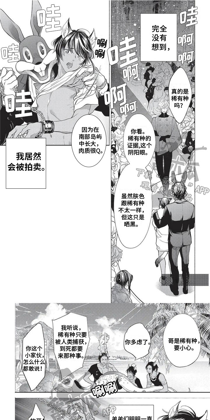 猫猫小姐姐漫画,第17章：远离故乡1图