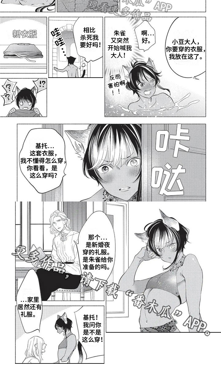 猫猫小白直播漫画,第30章：感谢2图