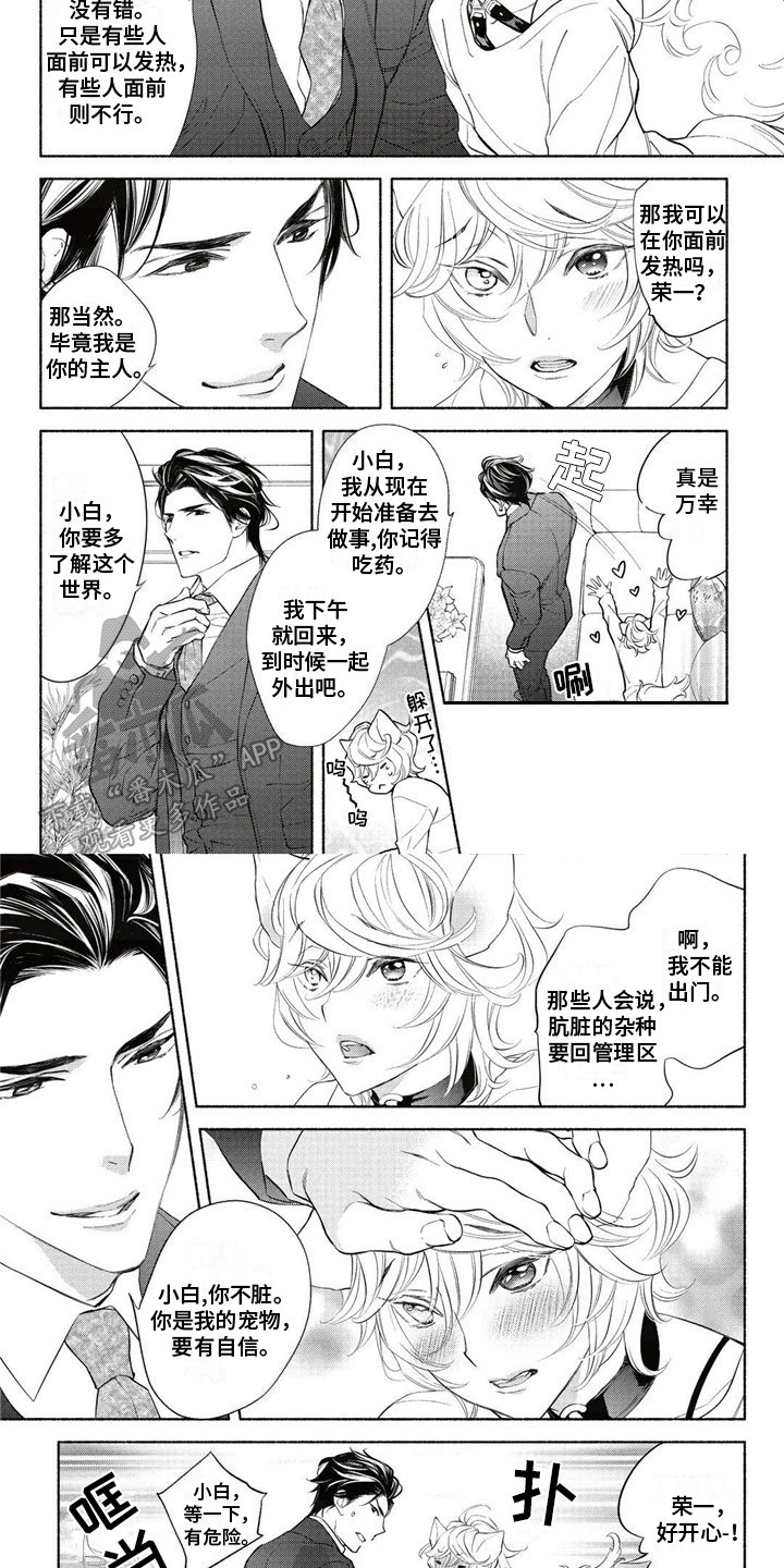 猫猫小白漫画免费全集最新章节漫画,第5章：教育2图