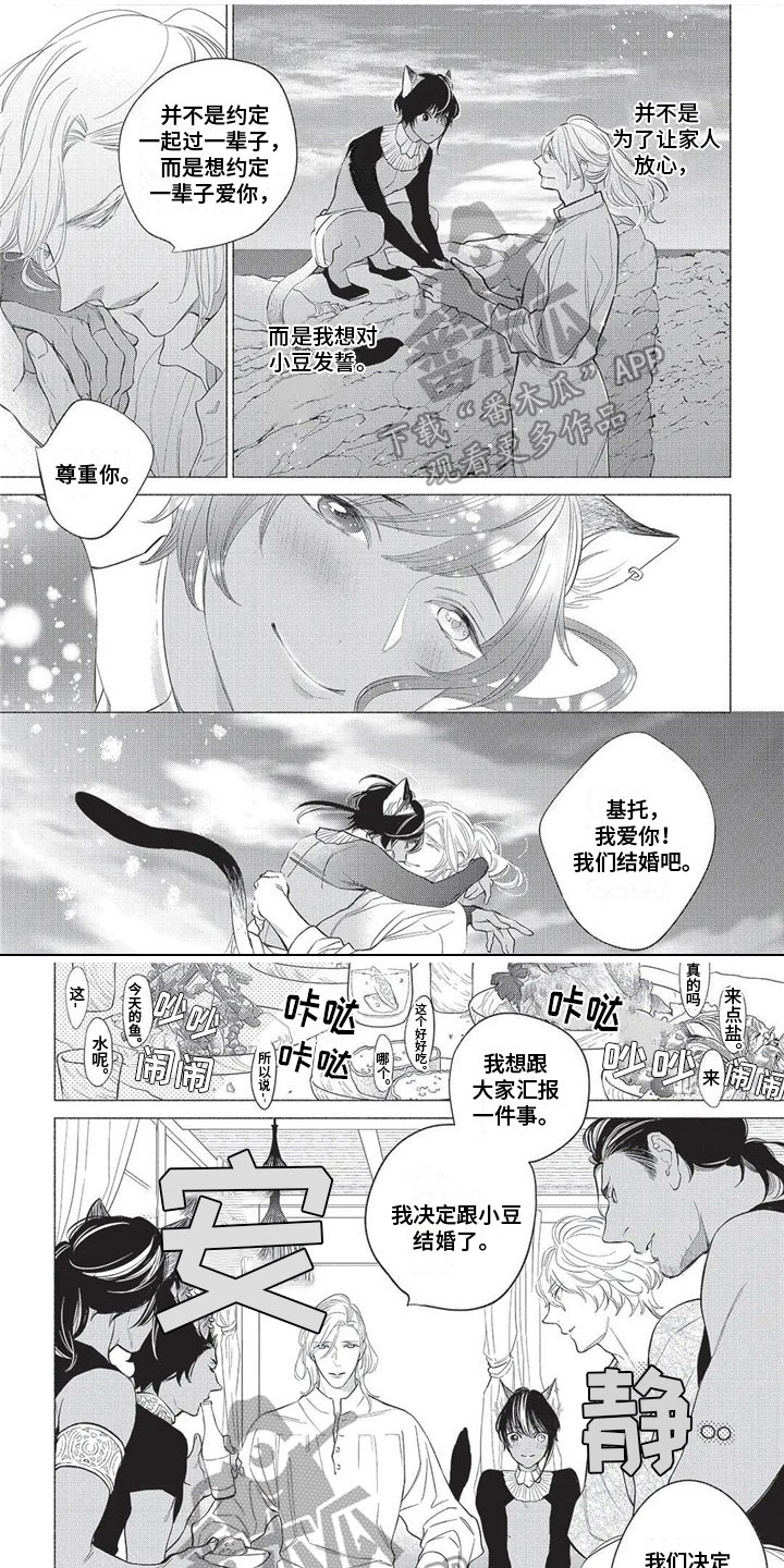 猫猫小说网在线阅读免费全文漫画,第33章：【番外】结婚1图