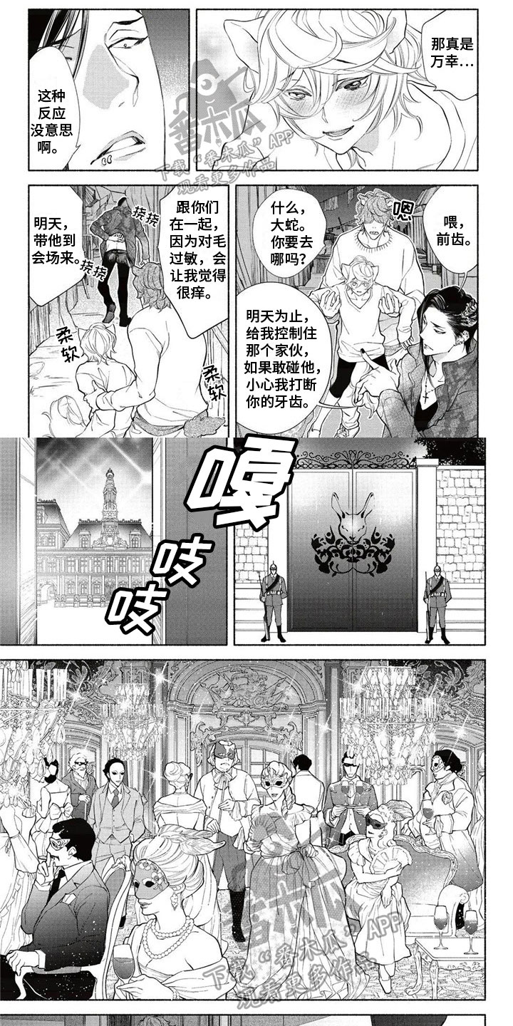 猫猫小白漫画,第10章：拍卖1图