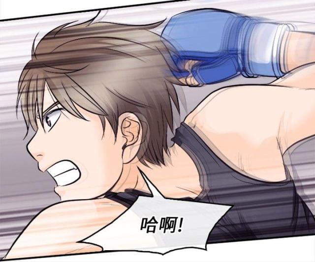 重返拳坛漫画,第15话1图