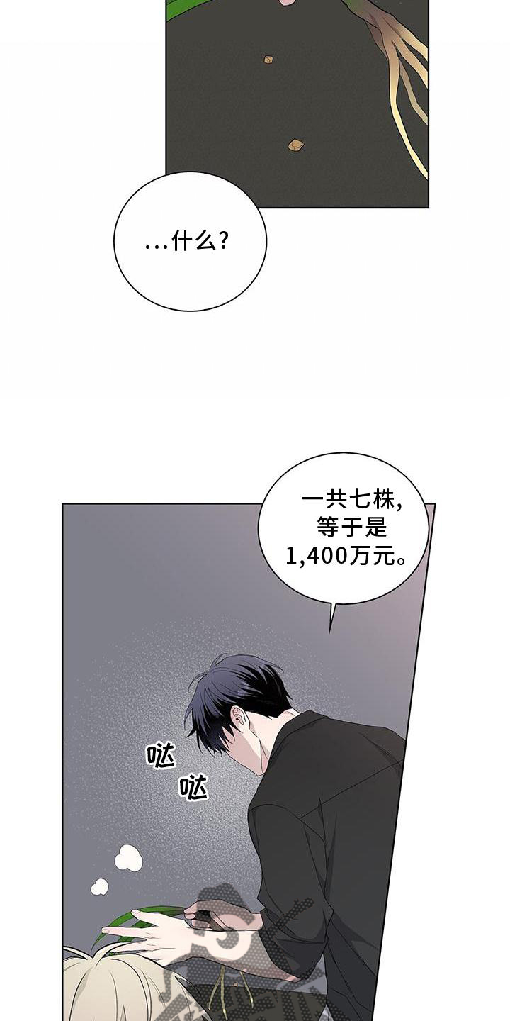 危险的爱漫画,第33章：耀眼1图