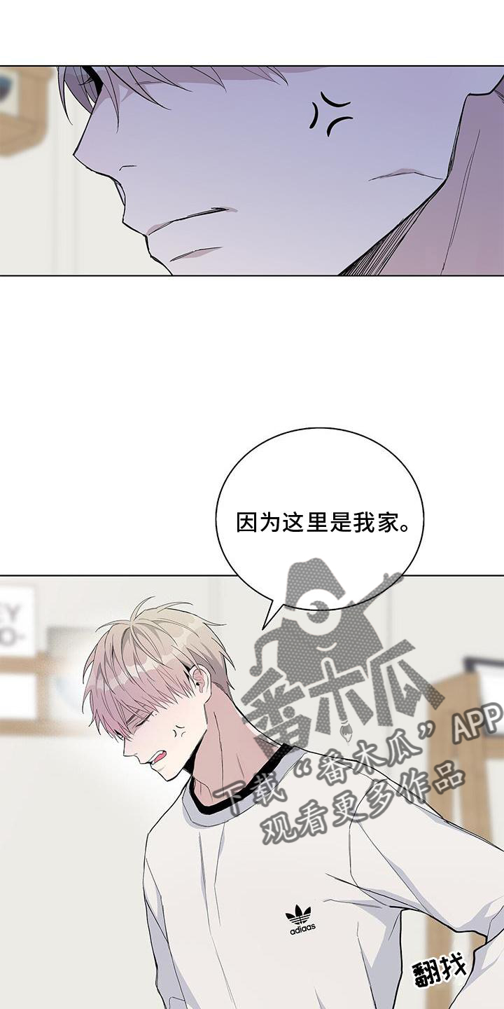 危险爆炸物品有哪些漫画,第33章：耀眼2图