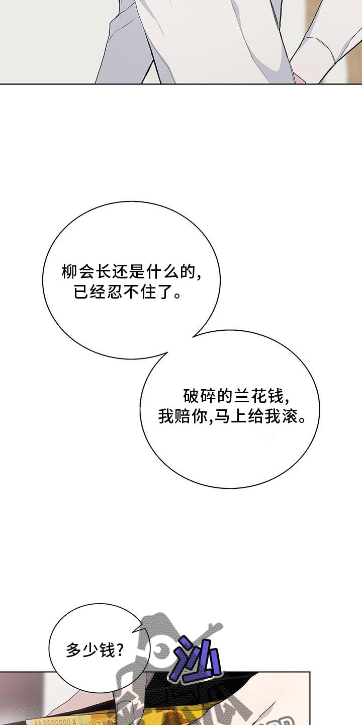 危险爆发在线阅读漫画,第33章：耀眼1图