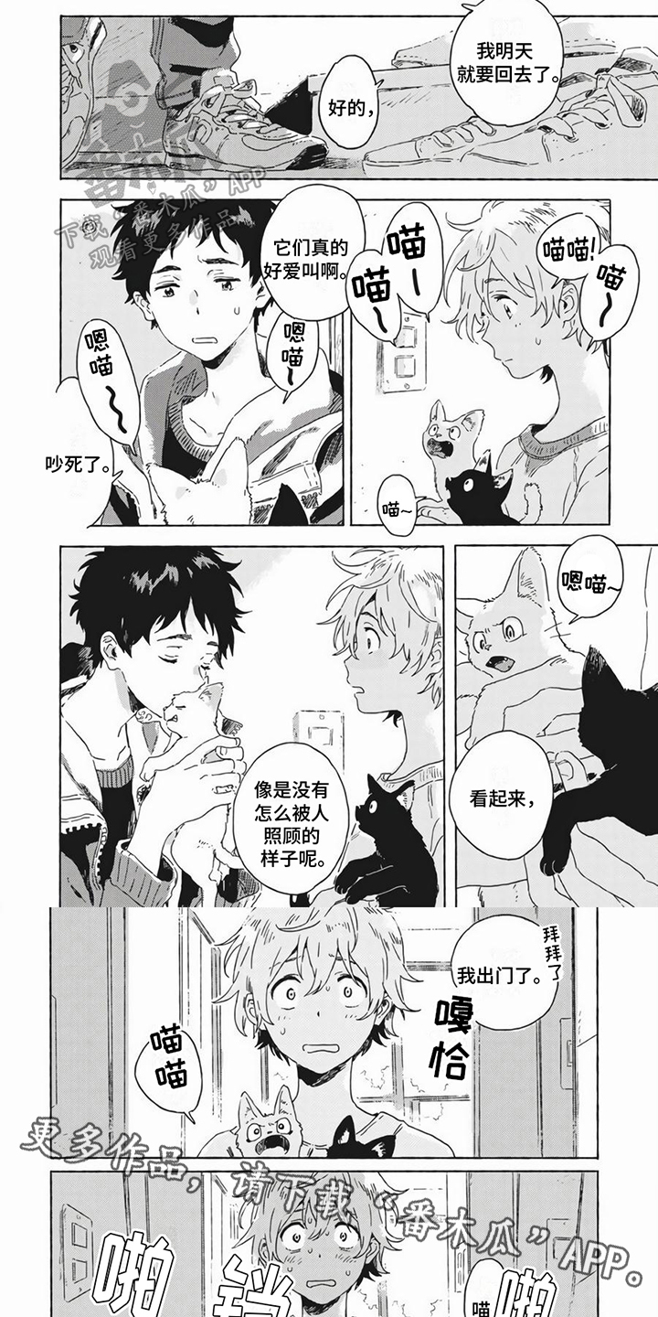 雪中悍刀行小说漫画,第19章：养猫2图