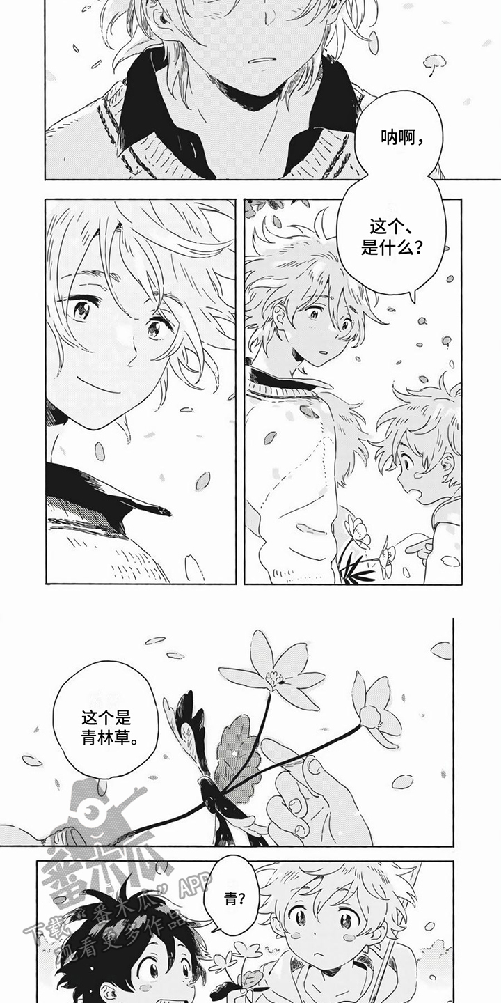 雪中的你太美了的文案漫画,第26章：答案【完结】1图