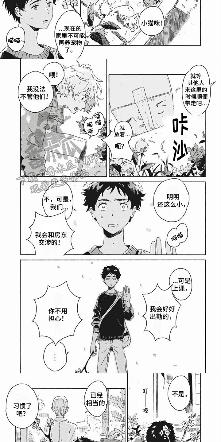 雪中的年轻宦官是谁漫画,第19章：养猫1图