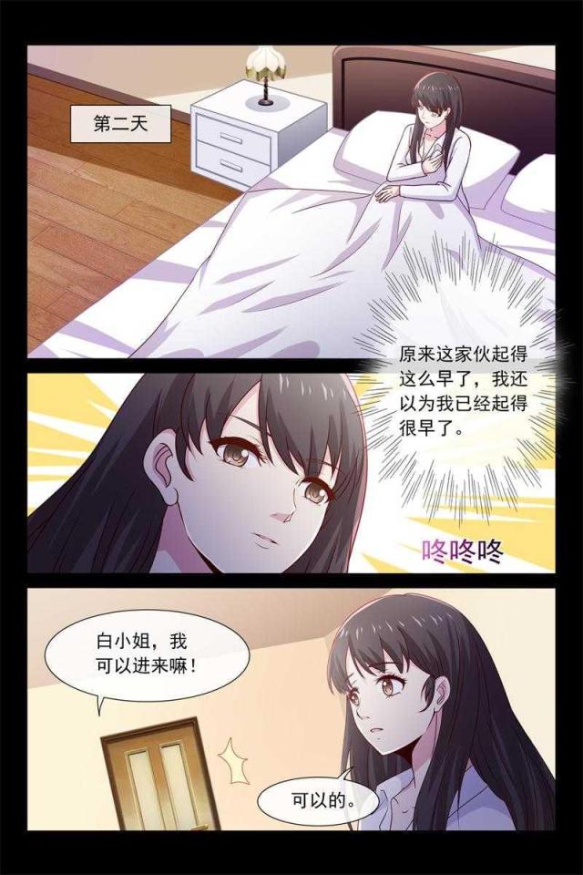 总裁的契约情人下拉式漫画免费漫画,第51话1图