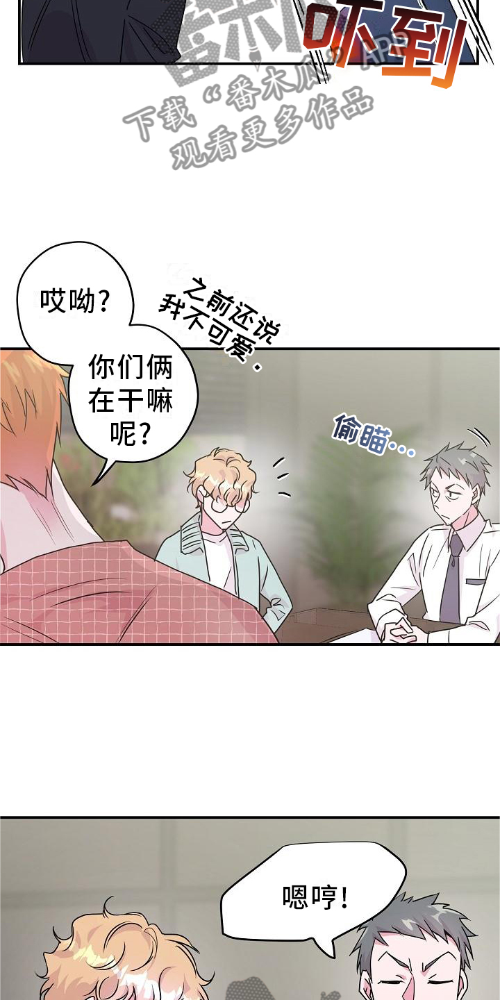 速成情歌计划漫画,第21章：开心2图