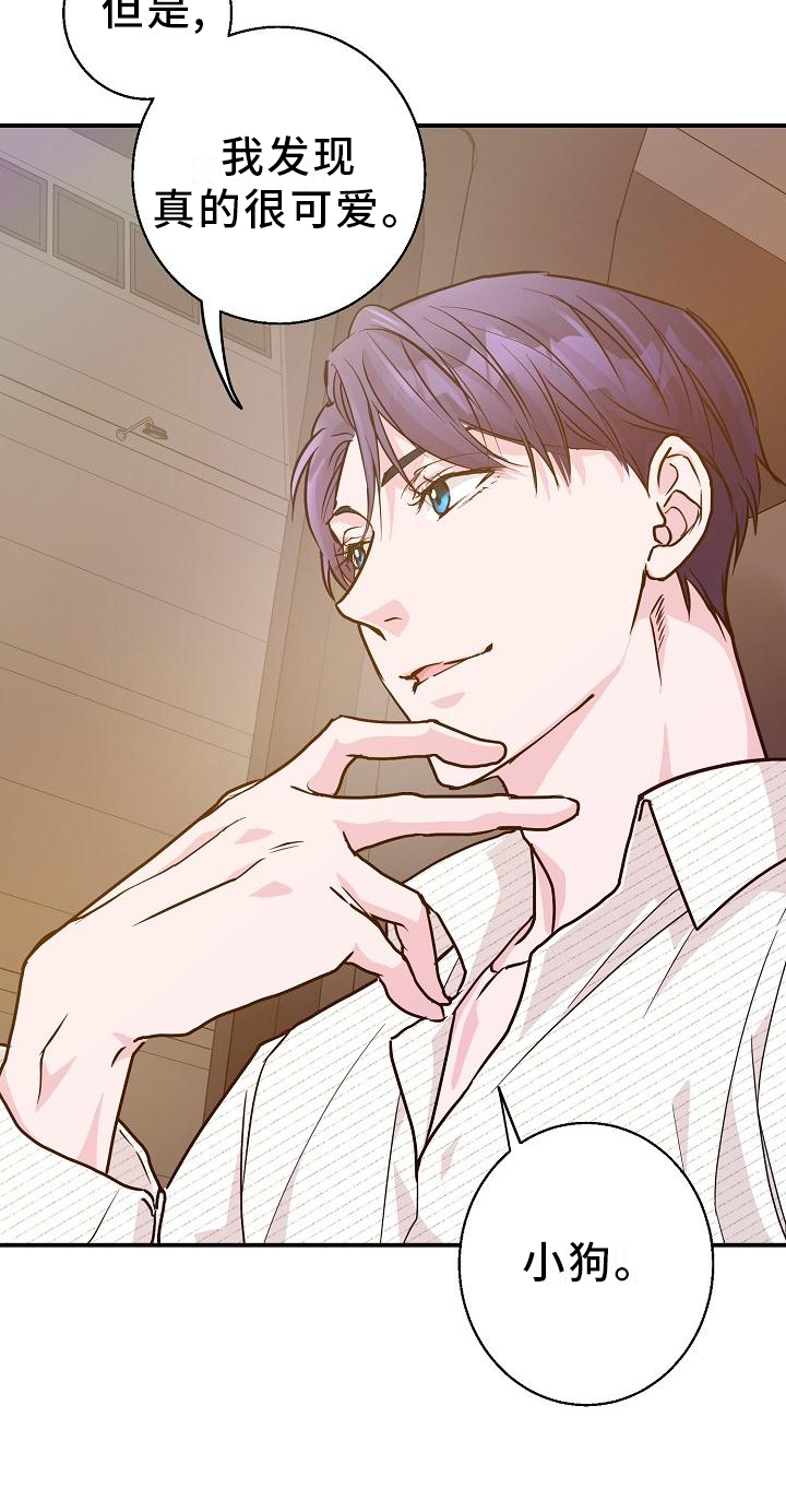 速成情歌计划漫画,第16章：小狗1图