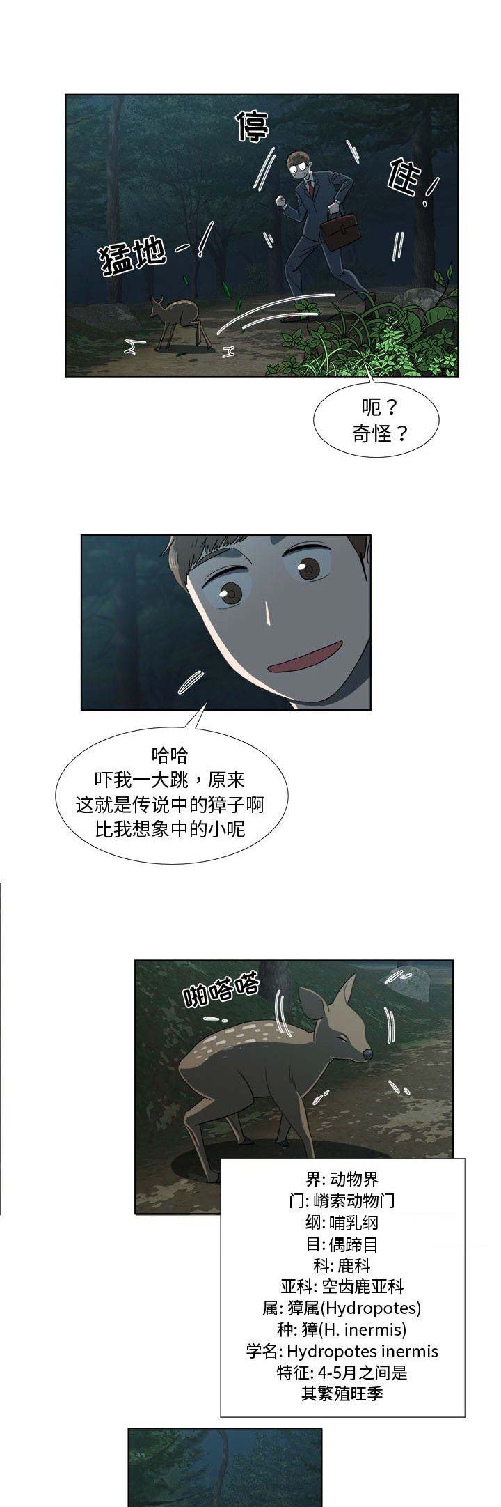 女儿村的符是什么符漫画,第38话2图