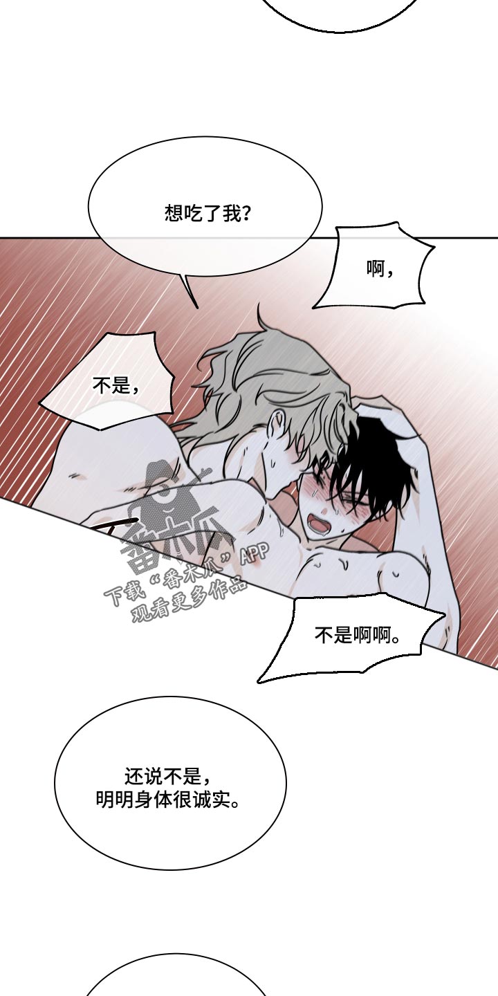 海之边境未增删漫画免费阅读画涯漫画,第53章：时机1图