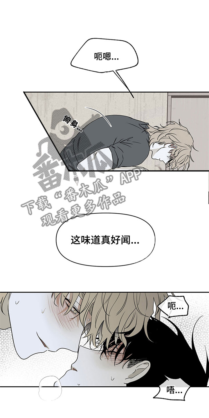 海之边境外网漫画,第5章：容身之所2图