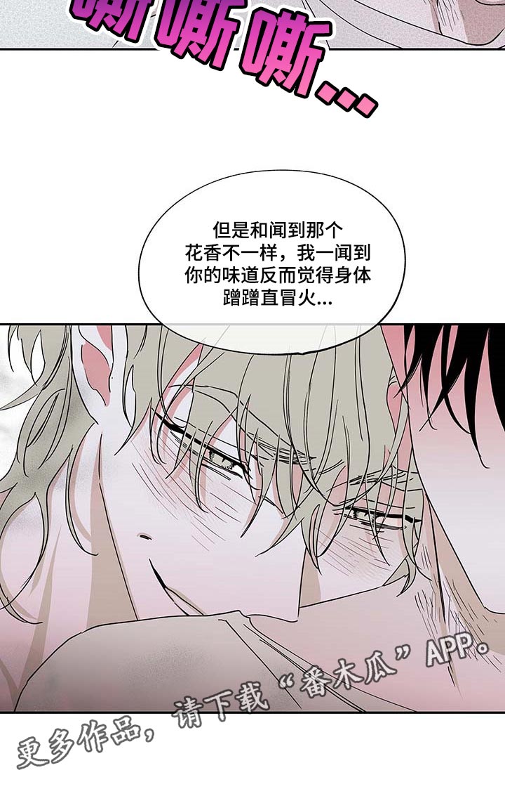 海之边境全集免费下拉式第二季漫画,第18章：花香2图