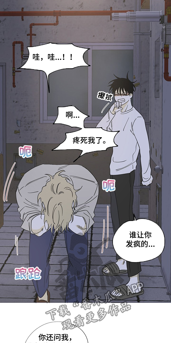 海之边境93话漫画,第13章：那个人怎么样2图