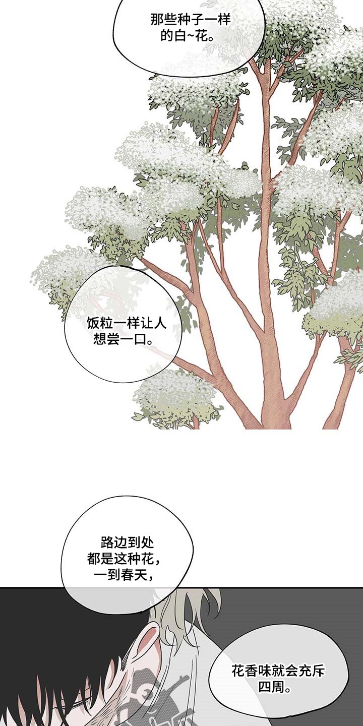 海之边境全集免费下拉式第二季漫画,第18章：花香2图