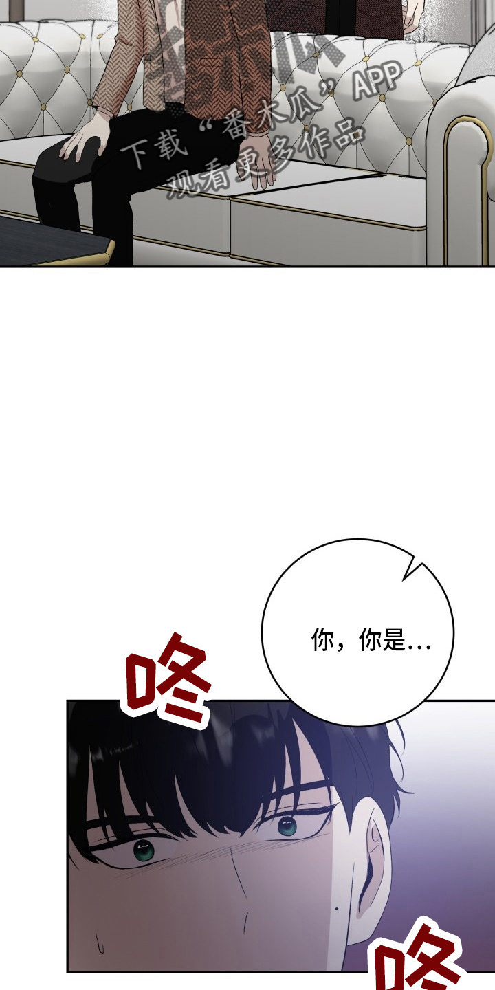 怎么可以标记阿尔法漫画,第41章：私生子1图