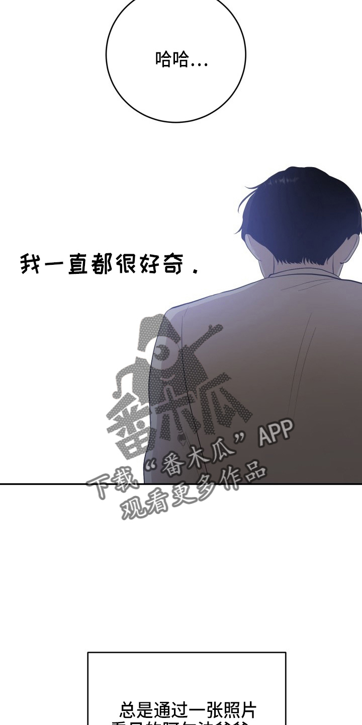 可以标记阿尔法的是什么漫画,第41章：私生子1图