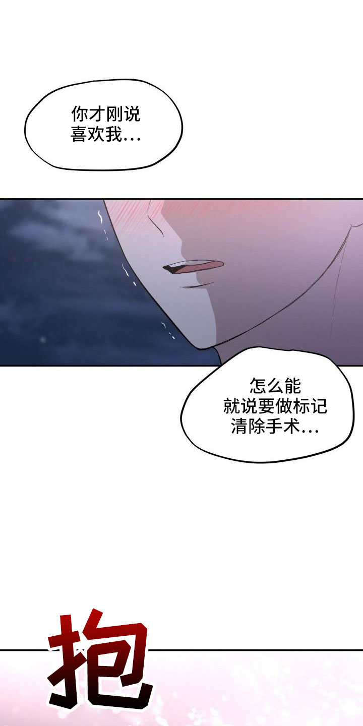 阿尔法的标志是什么意思漫画,第51章：等我2图