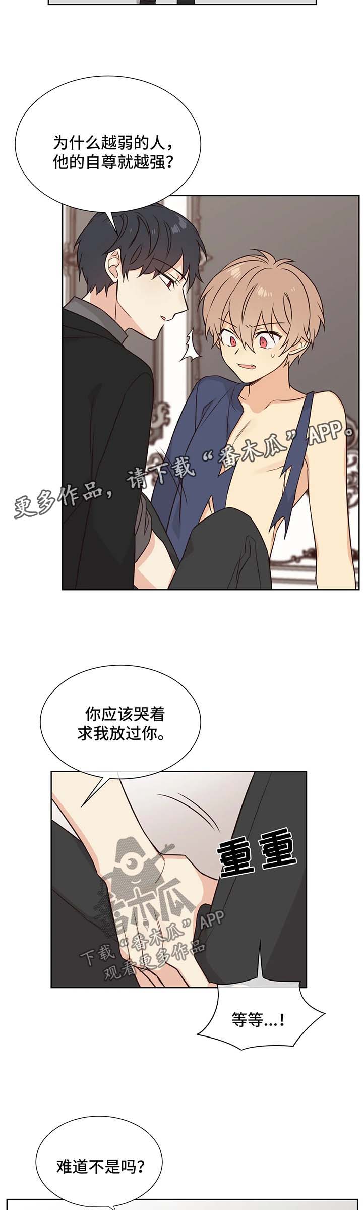 异界商店小说最新章节漫画,第88章：做我玩的玩具1图