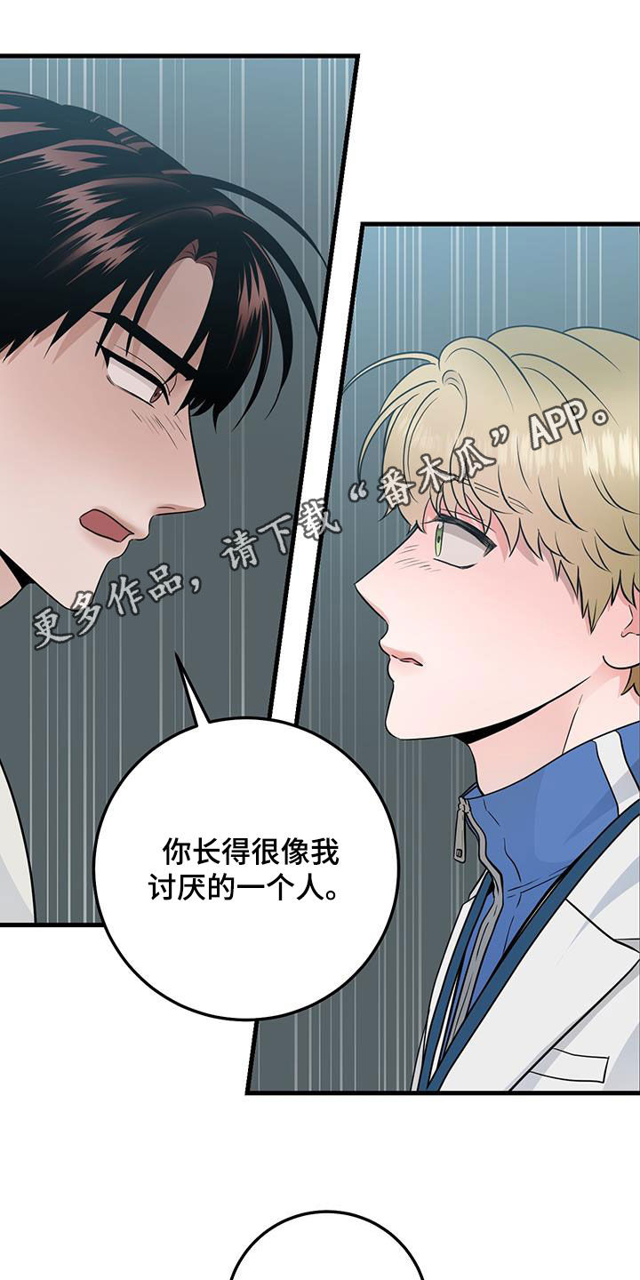 绝处重逢的意思漫画,第34章：简报1图