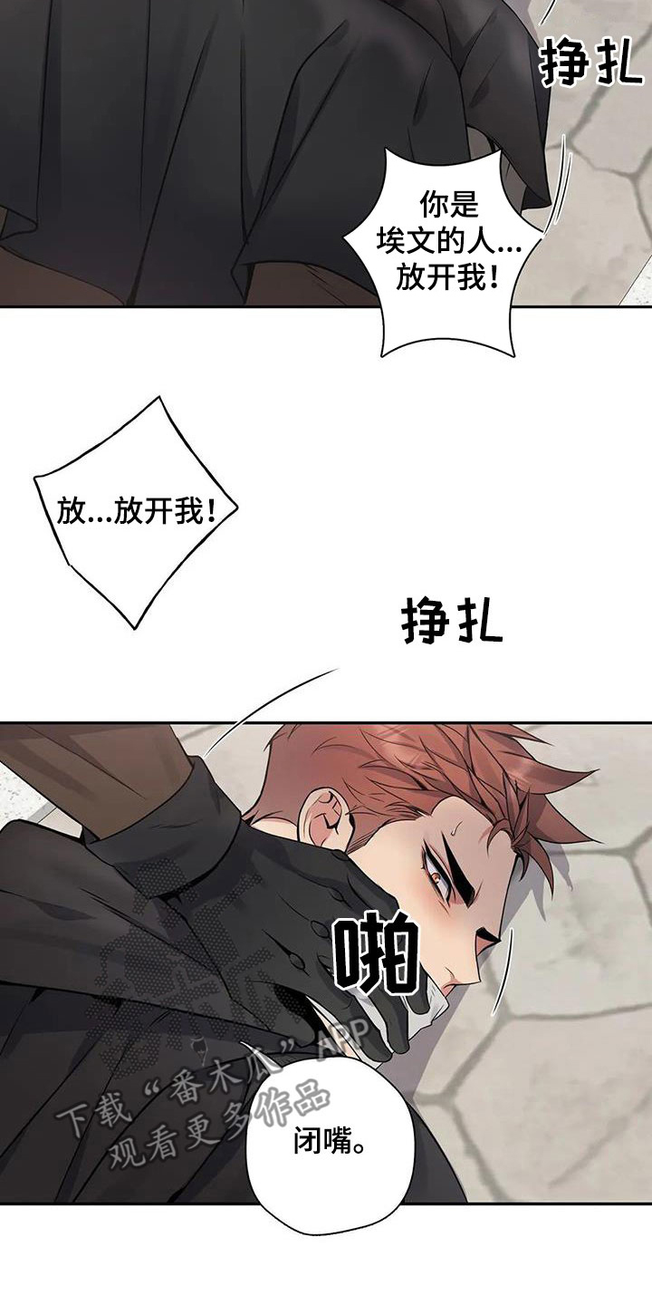 你是主人我是仆无修版全集樱花漫画,第135章：【第二季】举报2图