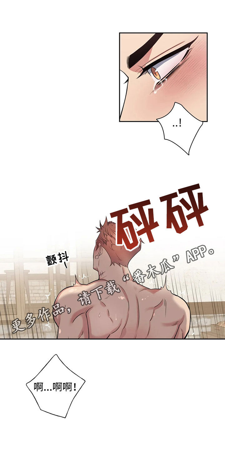 你是主人我是仆人物介绍漫画,第93章：【第二季】独家消息1图