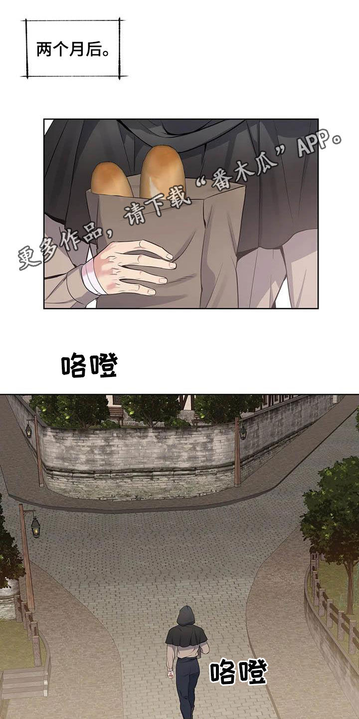 你是主人我是仆讲解漫画,第90章：【第二季】跟踪1图