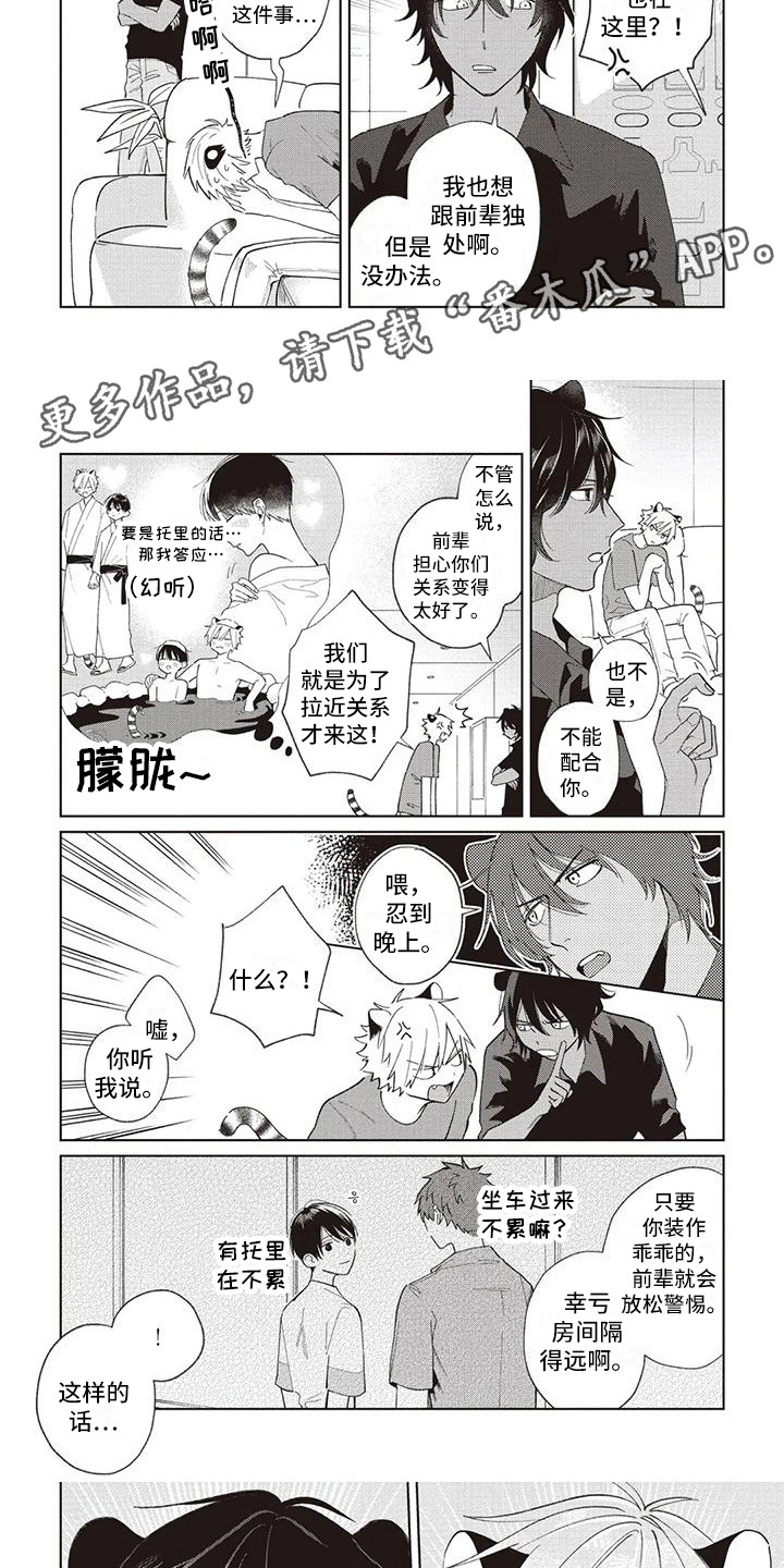 小老虎养多久认主漫画,第19章：温泉旅行1图