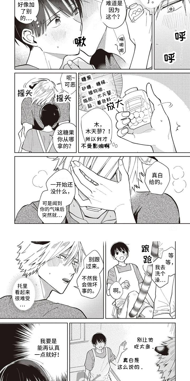小老虎养成记漫画,第25章：托里与天木蓼2图
