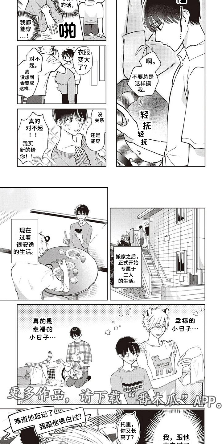 小老虎养成记漫画,第13章：安逸的生活2图