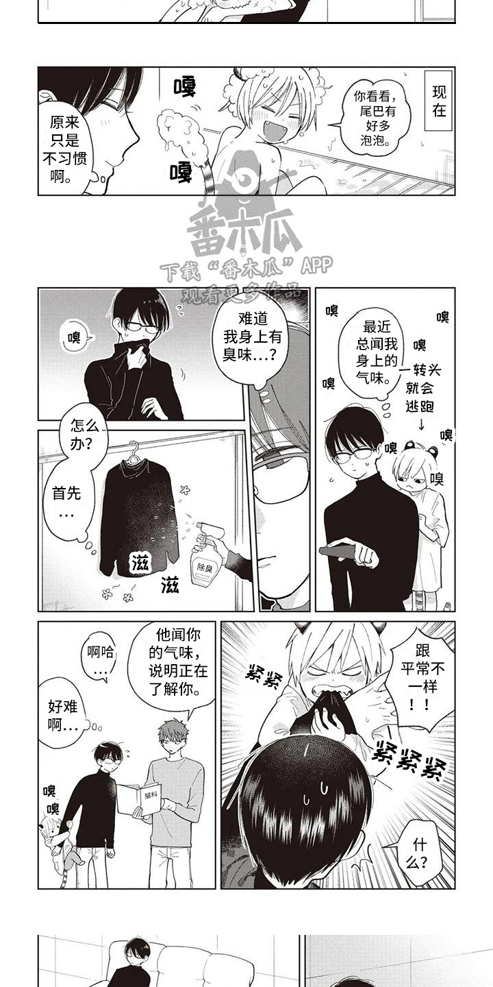 小老虎3d胆码漫画,第23章：循序渐进1图