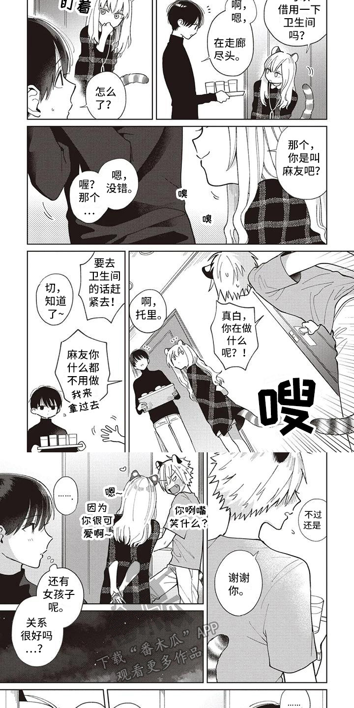 小老虎3d胆码漫画,第24章：托里的朋友2图