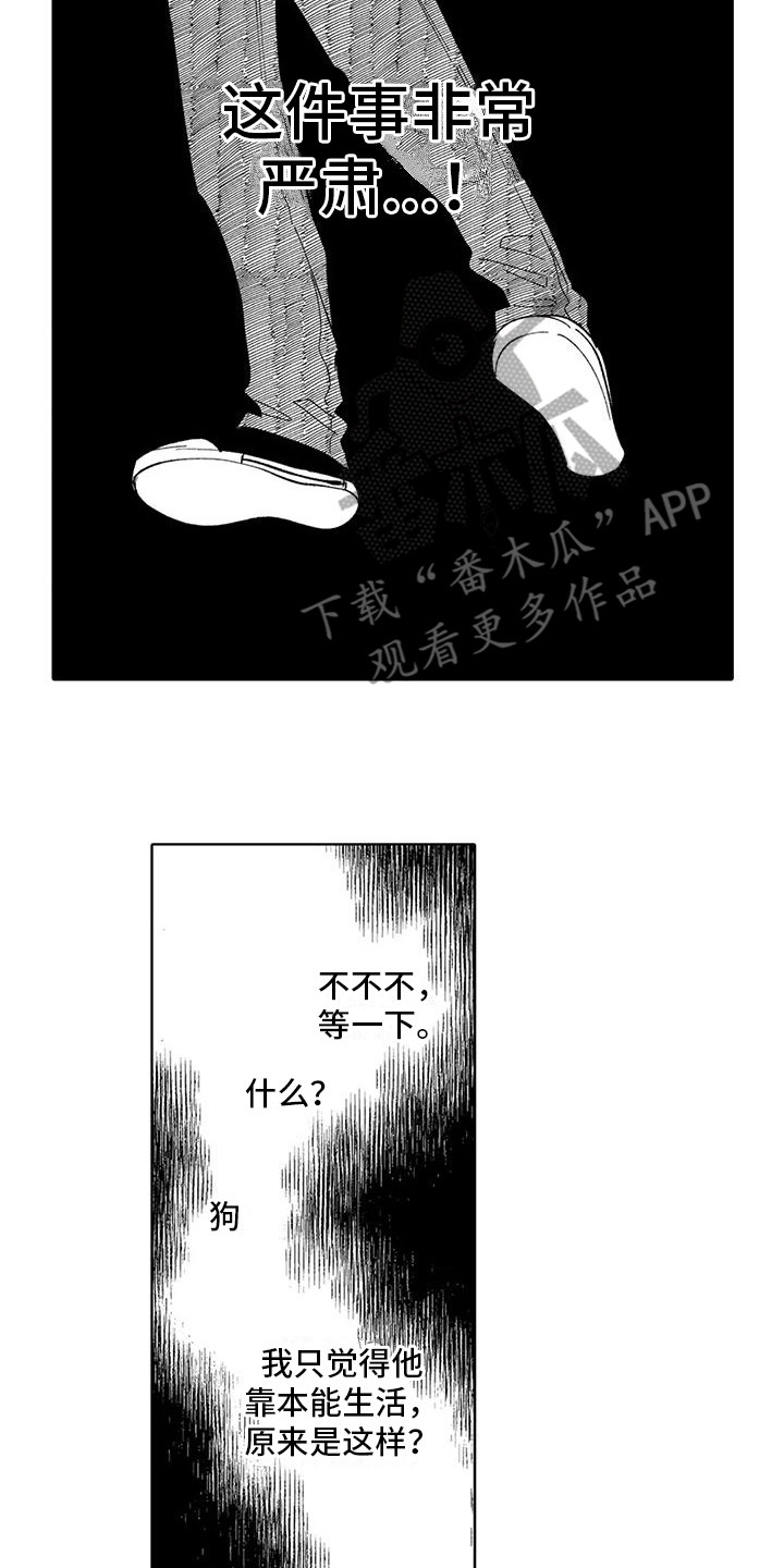 狼害怕牧羊犬的叫声吗漫画,第19章：过往2图