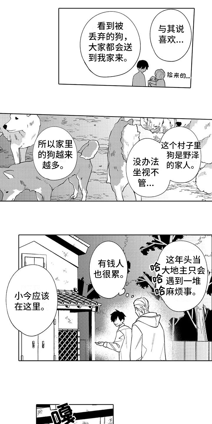 狼害怕啥动物漫画,第11章： 孤独背影1图