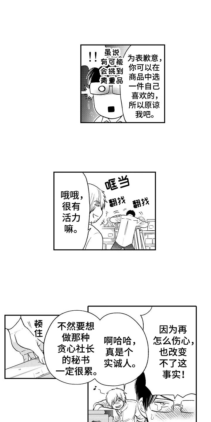 秘书职责和注意事项漫画,第4章：决定了1图