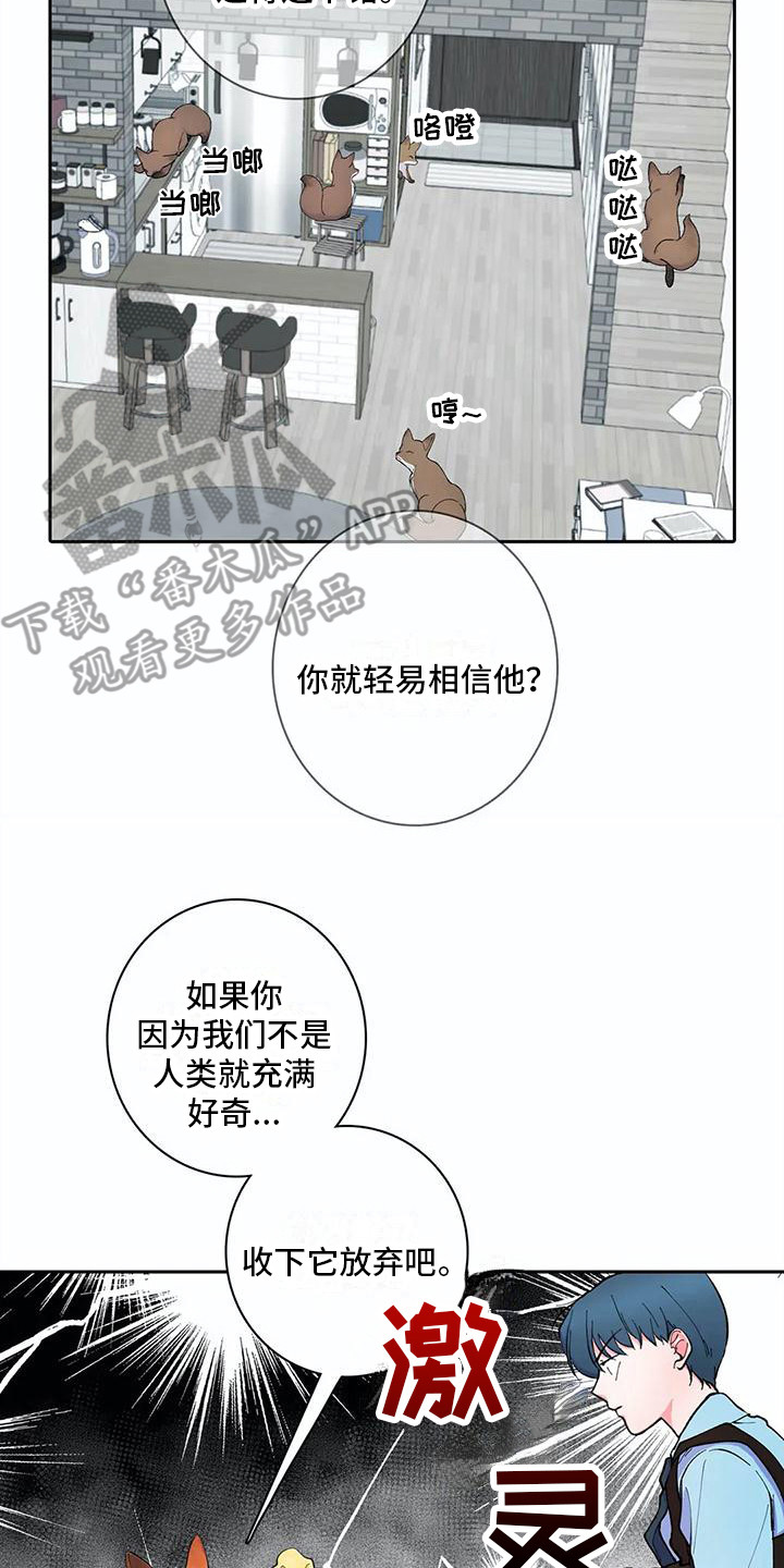 狐狸咖啡店漫画,第25章：误会了2图