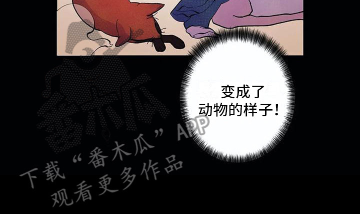 狐狸咖啡店漫画,第20章：活久见2图