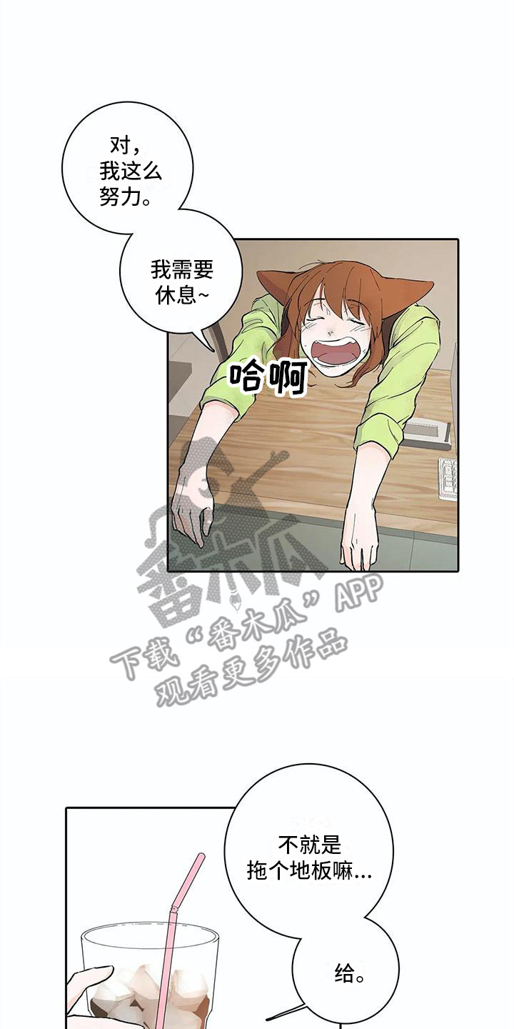 狐狸咖啡店漫画,第10章：大扫除1图