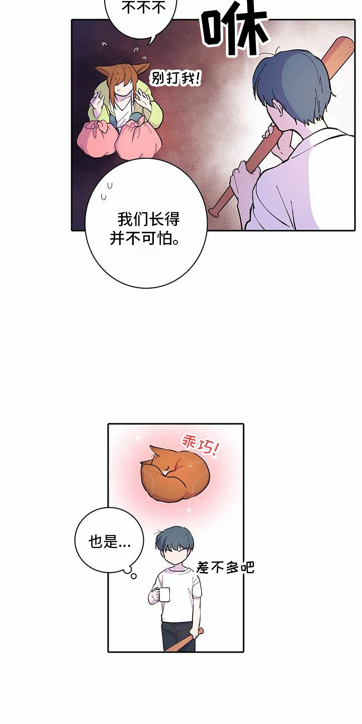 狐狸的咖啡店故事漫画,第22章：回到正轨2图