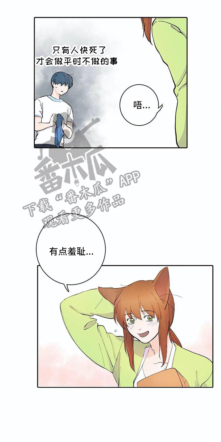 狐狸咖啡店漫画,第13章：共同目标1图