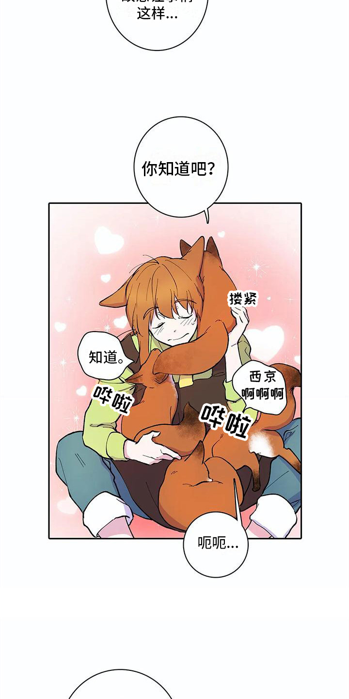狐狸咖啡店漫画,第28章：失魂落魄2图